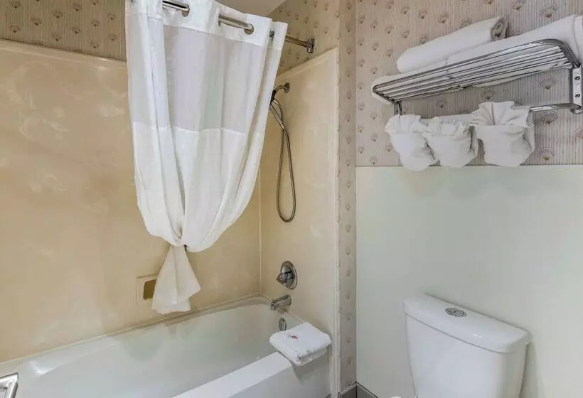 酒店 Comfort Inn Mount Shasta Area