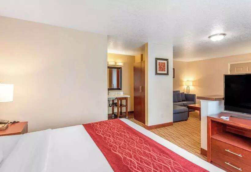 酒店 Comfort Inn Mount Shasta Area