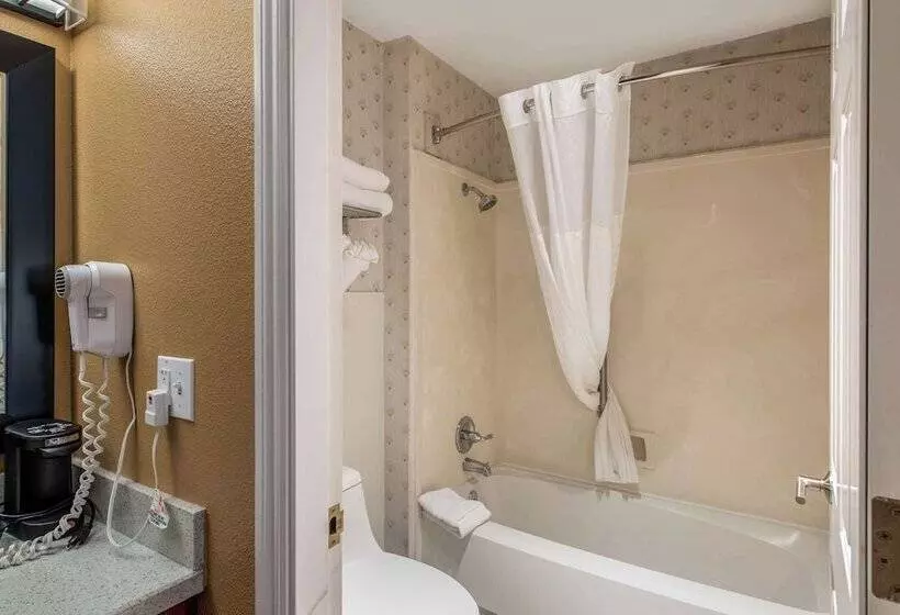 酒店 Comfort Inn Mount Shasta Area