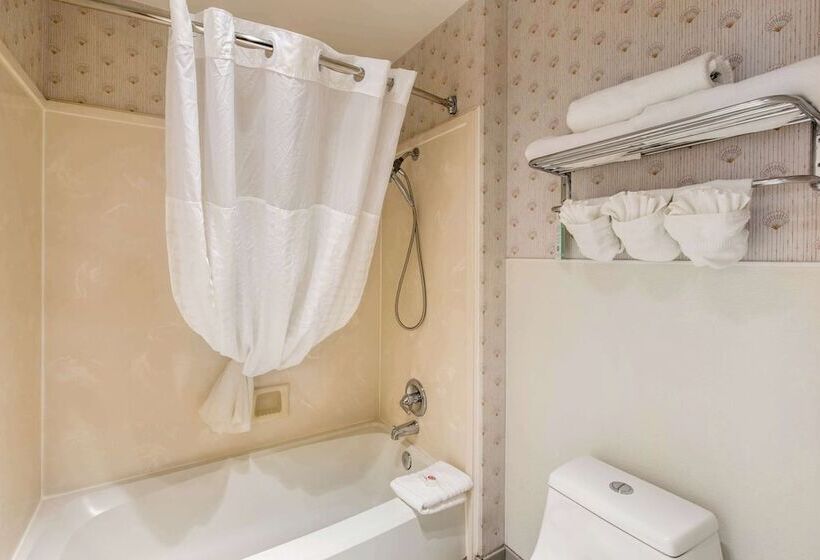 فندق Comfort Inn Mount Shasta Area