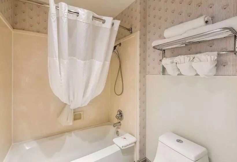 酒店 Comfort Inn Mount Shasta Area