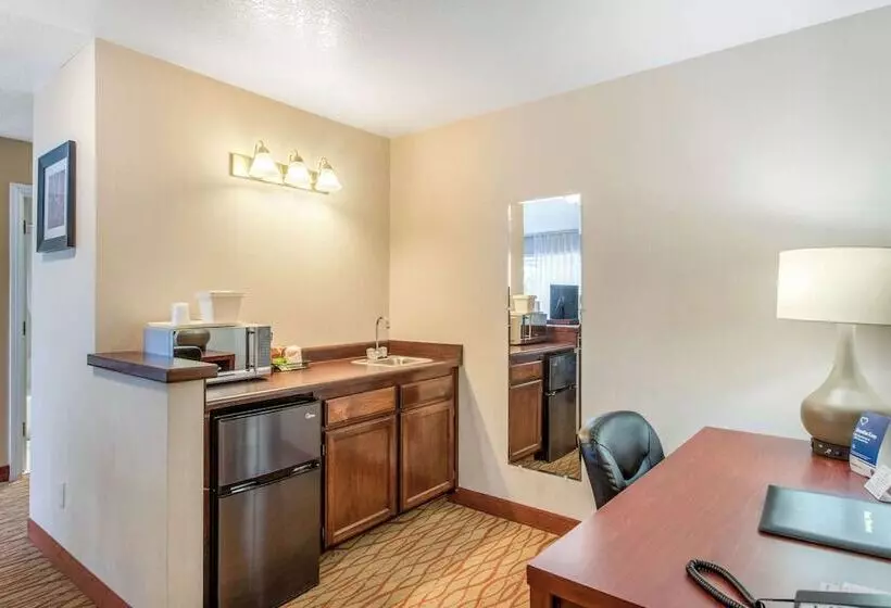 酒店 Comfort Inn Mount Shasta Area