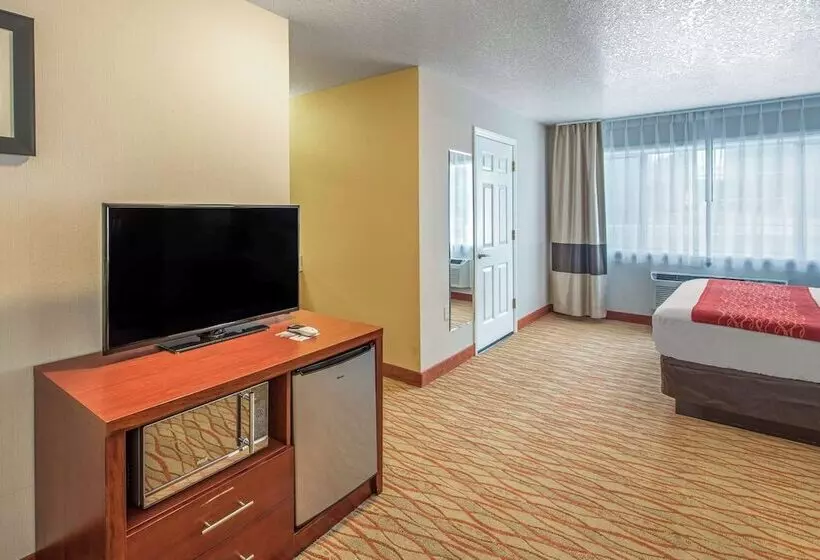 酒店 Comfort Inn Mount Shasta Area