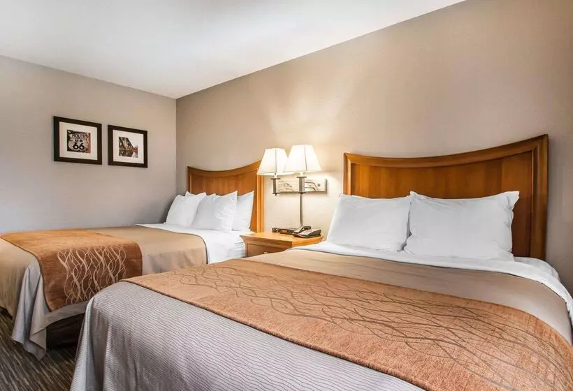 ホテル Comfort Inn South Springfield