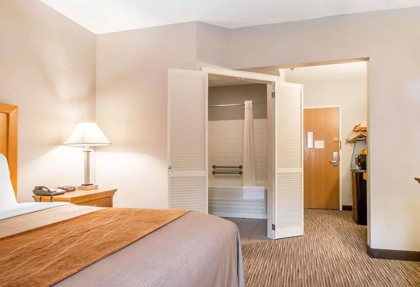 ホテル Comfort Inn South Springfield