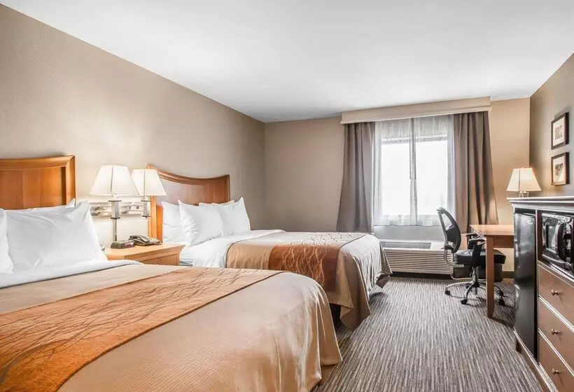 ホテル Comfort Inn South Springfield