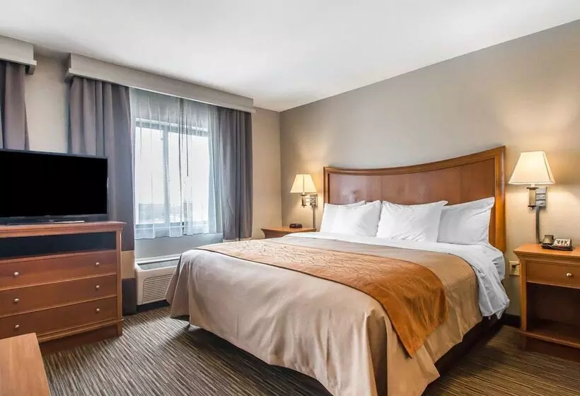 ホテル Comfort Inn South Springfield