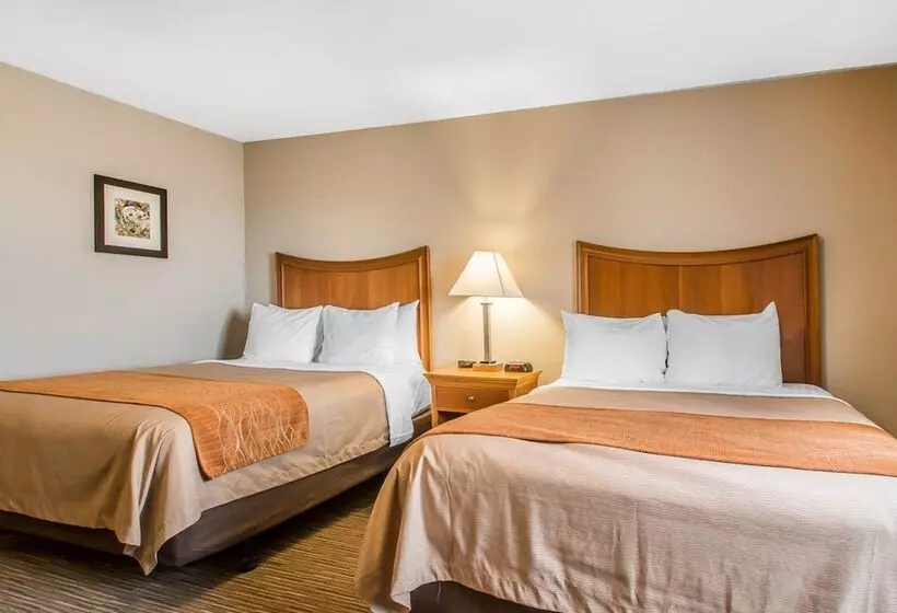 ホテル Comfort Inn South Springfield