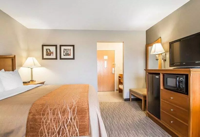ホテル Comfort Inn South Springfield