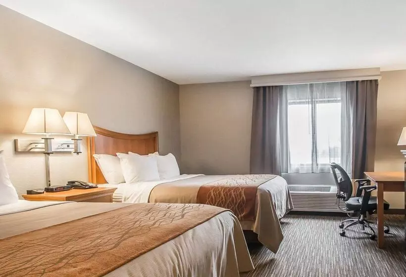 ホテル Comfort Inn South Springfield