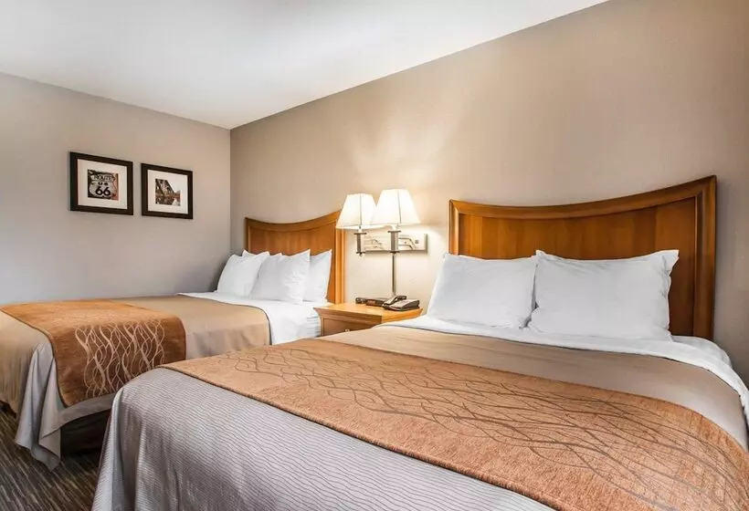 ホテル Comfort Inn South Springfield