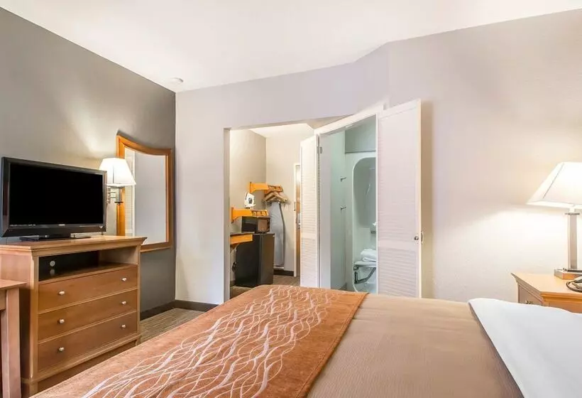 ホテル Comfort Inn South Springfield