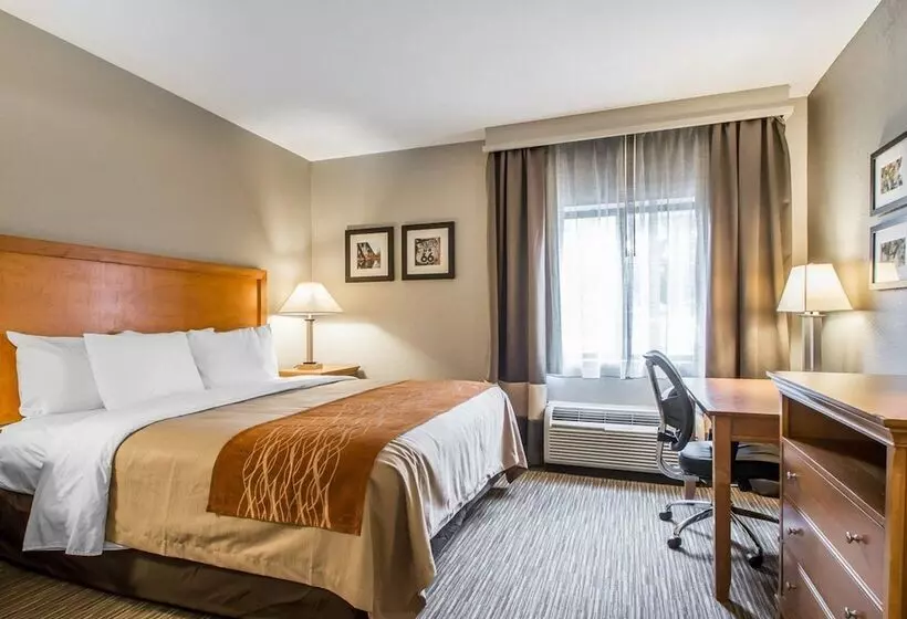 ホテル Comfort Inn South Springfield