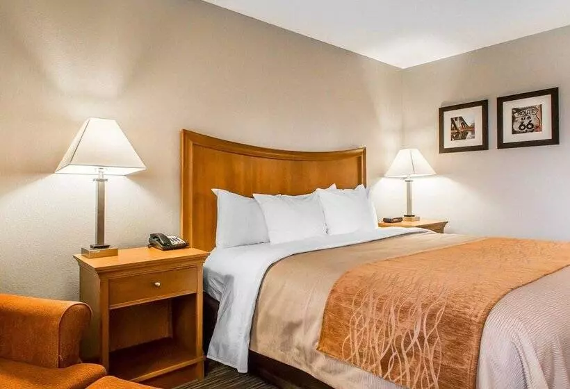 ホテル Comfort Inn South Springfield