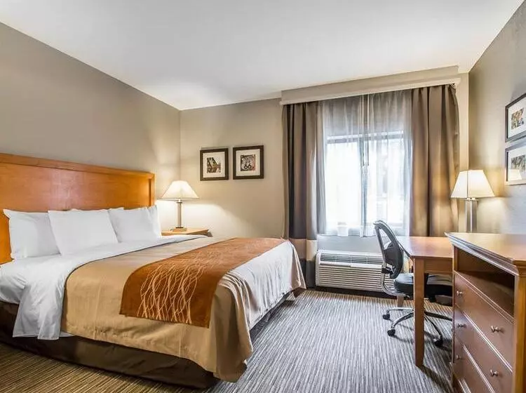 ホテル Comfort Inn South Springfield
