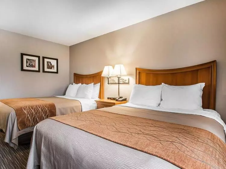 ホテル Comfort Inn South Springfield