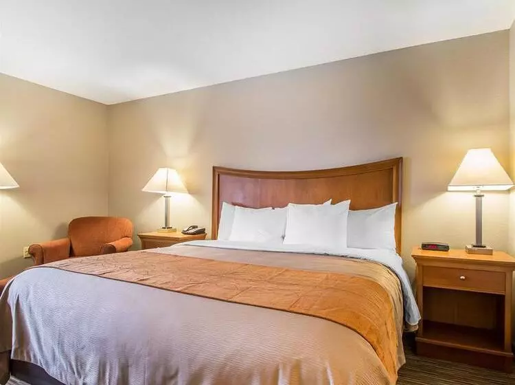 ホテル Comfort Inn South Springfield