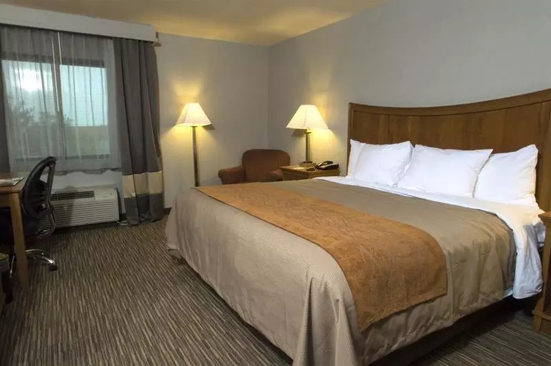 ホテル Comfort Inn South Springfield