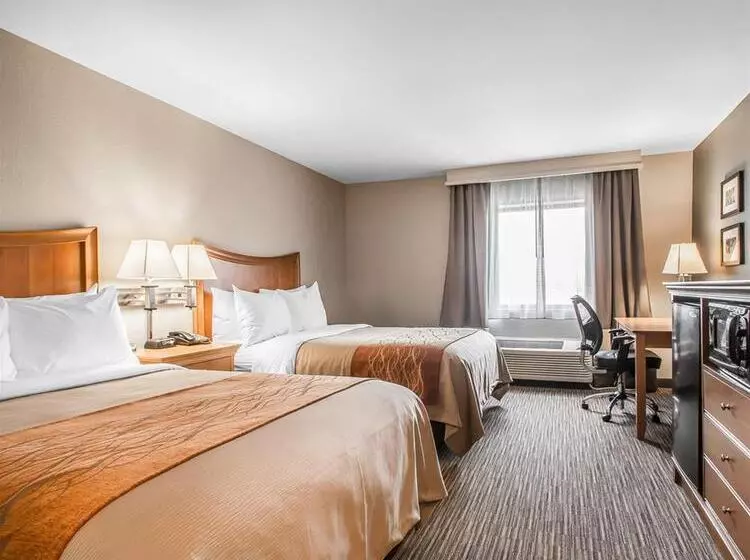 ホテル Comfort Inn South Springfield