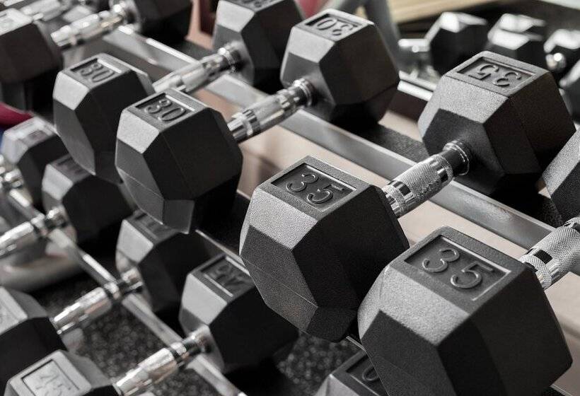 Hotel Holiday Inn Express   Bowling Green, An Ihg