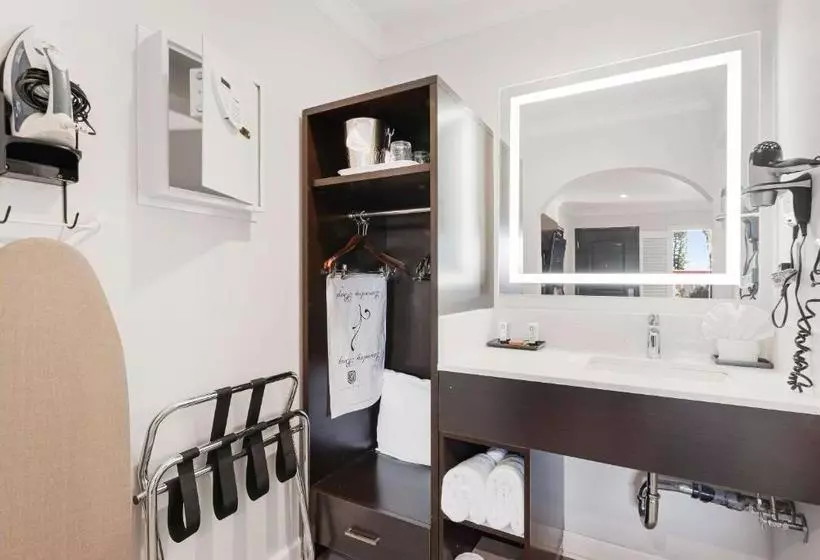 酒店 Rodeway Inn Berkeley