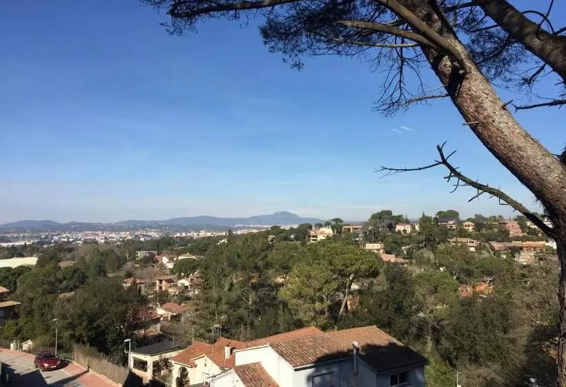 Catalonia Dreaming
