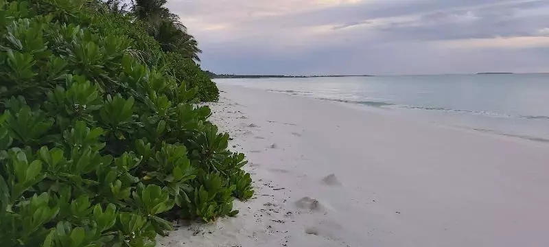 استراحتگاه Evexia Beach Collection Laamu
