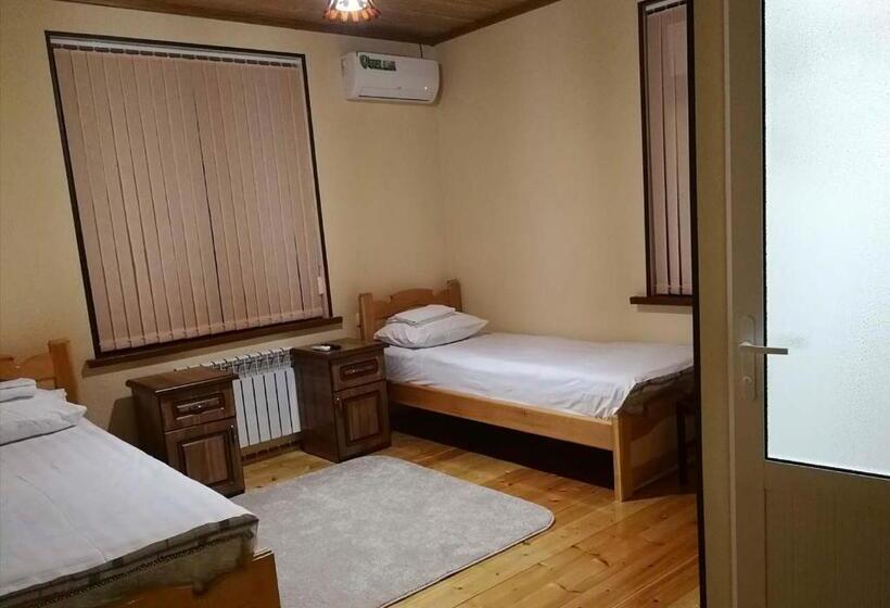 بنسيون Premier