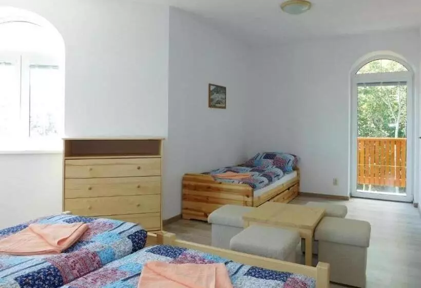 ペンション Villa Petko