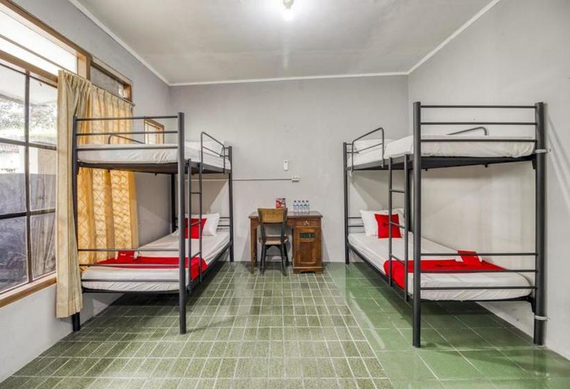 בית מלון כפרי Reddoorz Hostel Near Adisucipto Airport Yogyakarta