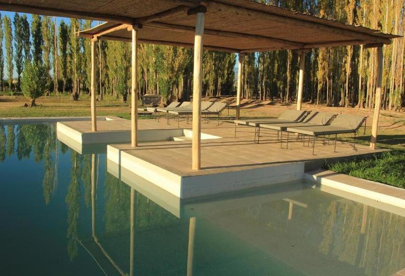 فندق صغير Posada Paso De Los Patos