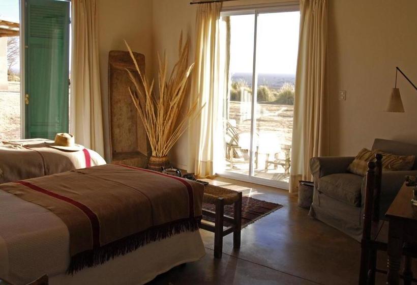 فندق صغير Posada Paso De Los Patos