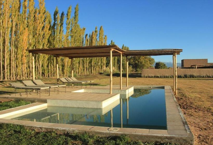 فندق صغير Posada Paso De Los Patos