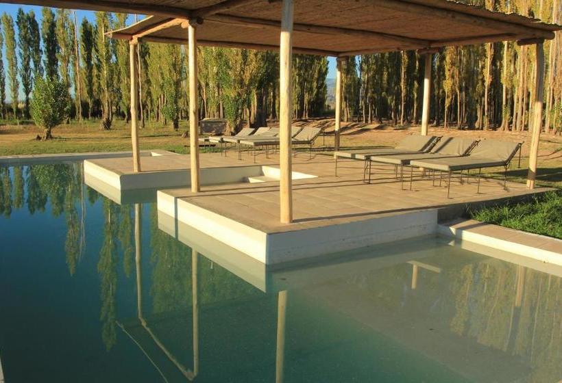 فندق صغير Posada Paso De Los Patos