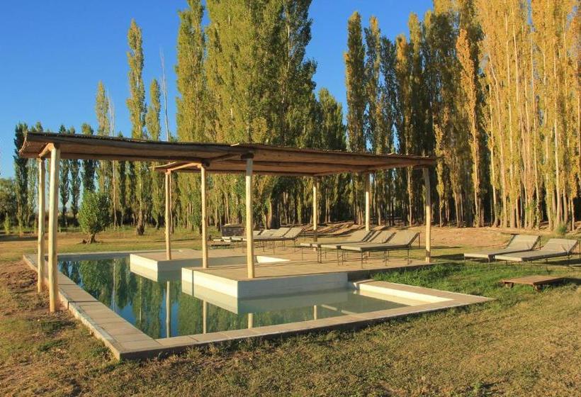 فندق صغير Posada Paso De Los Patos