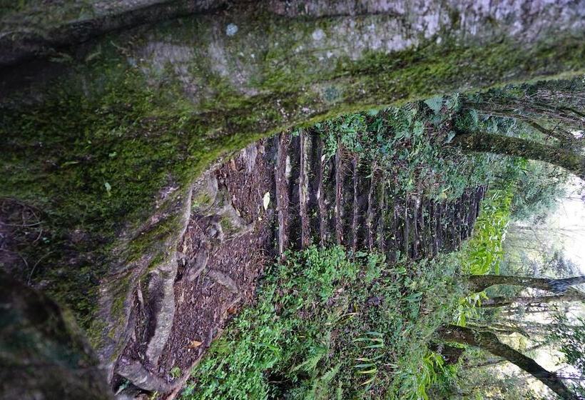 בית מלון כפרי Hilton Garden Inn Nujiang