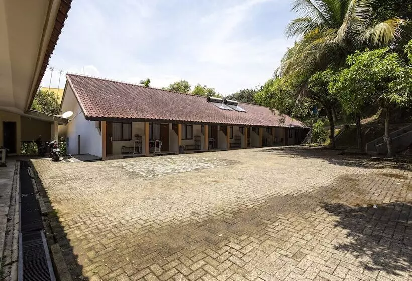 ホテル Pavo Resort By Oyo Rooms