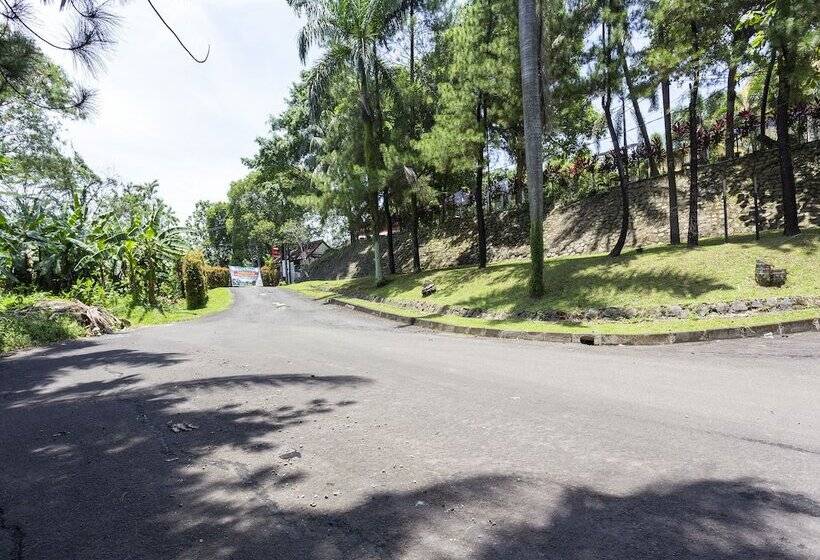 Hotel Pavo Resort By Oyo Rooms