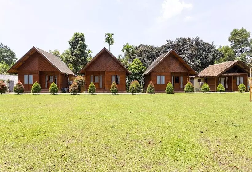 ホテル Pavo Resort By Oyo Rooms