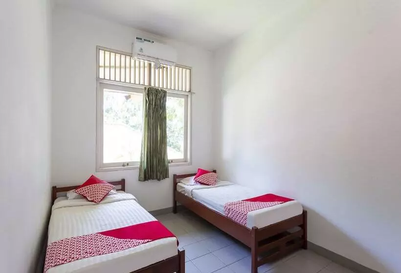 ホテル Pavo Resort By Oyo Rooms