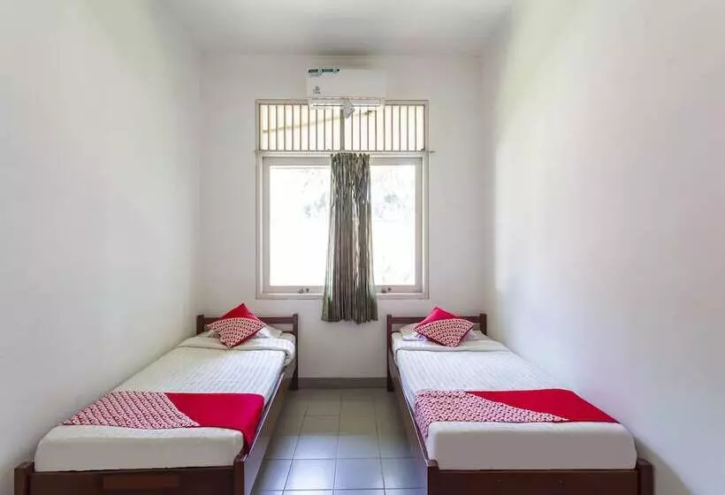 ホテル Pavo Resort By Oyo Rooms