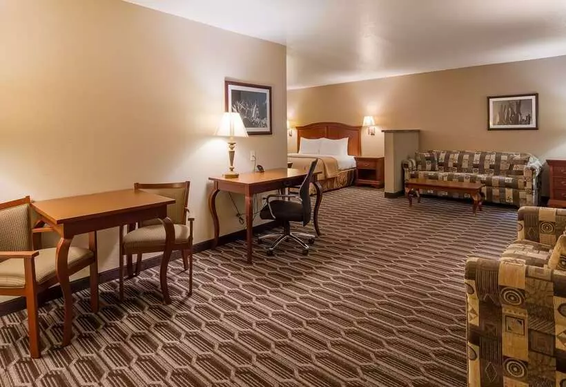 בית מלון כפרי Best Western Inn Of Chandler