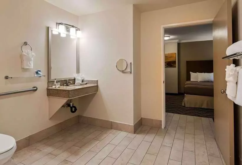 ホテル Best Western John Muir Inn