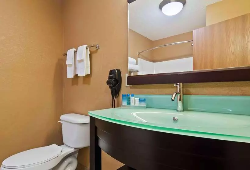 Отель Best Western Paducah Inn