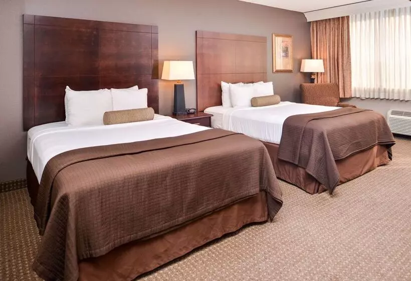 فندق Best Western Plus Kelly Inn