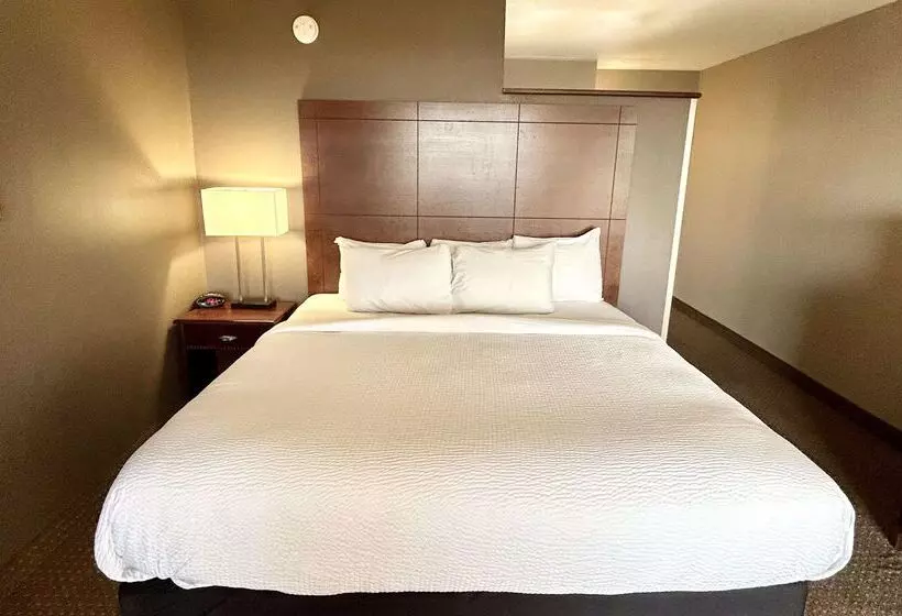 فندق Best Western Plus Kelly Inn