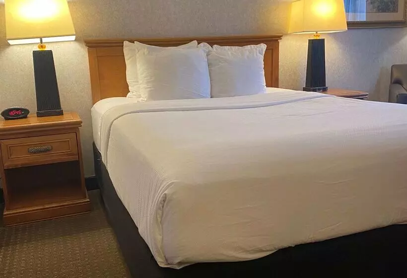 فندق Best Western Plus Kelly Inn