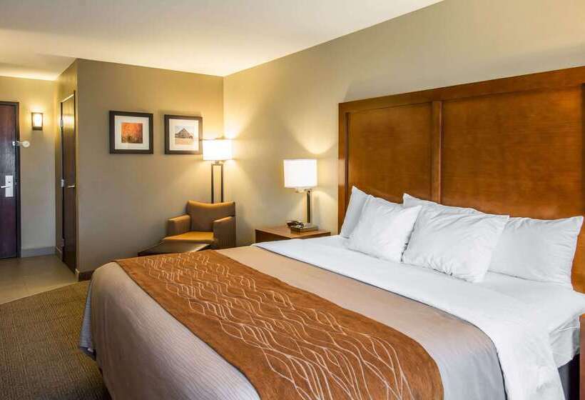 호텔 Comfort Inn & Suites