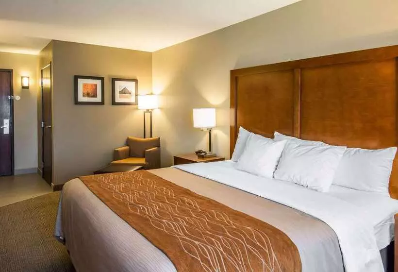 ホテル Comfort Inn & Suites