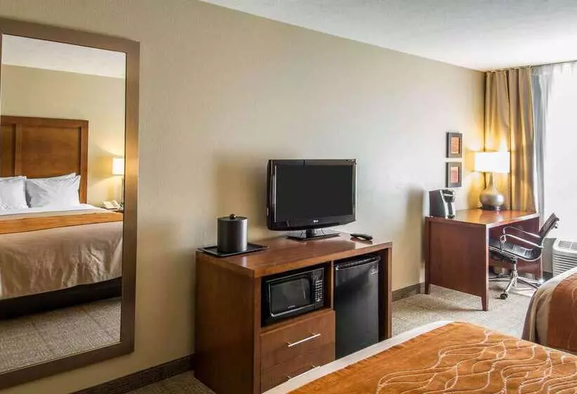 ホテル Comfort Inn & Suites